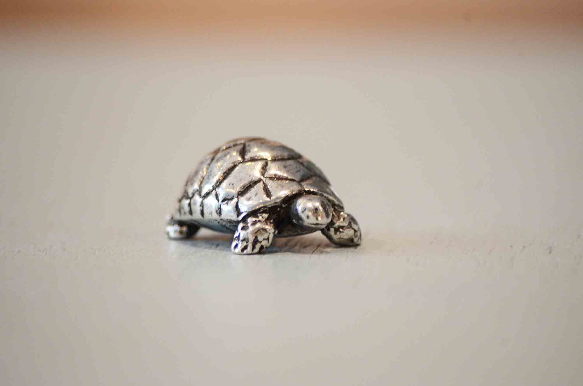 NA Cadeau de Tortue Tasse de Tortue Cadeau d'amant de Tortue Cadeaux de  propriétaire de Tortue d'animal familier Cadeaux de Maman pour Les Amoureux  de